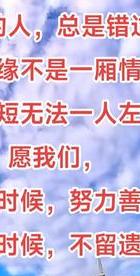 语录情感短句_押韵语录情感_情感语录